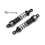 ION - Complete Shock Absorber 2Pcs