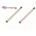 Serpent 600189 Hingepin RR outer (2) Serpent 600189 Hingepin RR outer (2)