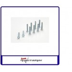 Gforce GF0170-006 Linsen Kreuzschlitz M2,5X12 10X Gforce GF0170-006 Linsen Kreuzschlitz M2,5X12 10X