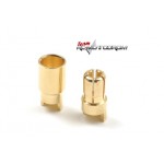 Gforce GF1000-007 6.0mm Goldstecker S+B 4x2 Gforce GF1000-007 6.0mm Goldstecker S+B 4x2