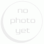 Team Magic K14139 Steel 3x56mm Super Hardened Hinge Pin (Rear       <br>Team Magic Team Magic K14139 Steel 3x56mm Super Hardened Hinge Pin (Rear       <br>Team Magic