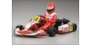 Kart Birel / F1 Kart Birel / F1